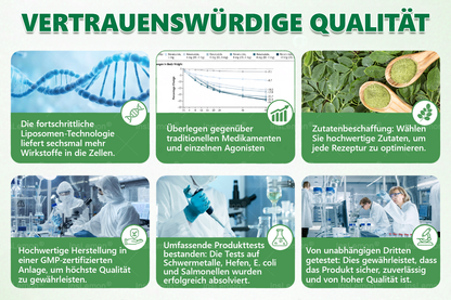 ⏰ Dein exklusiver 𝐈𝐧𝐬𝐋𝐞𝐦𝐨𝐧® Rabatt ist aktiv! Nur heute: zusätzlich 50% sparen – jetzt sichern, bevor das Angebot endet! ✅