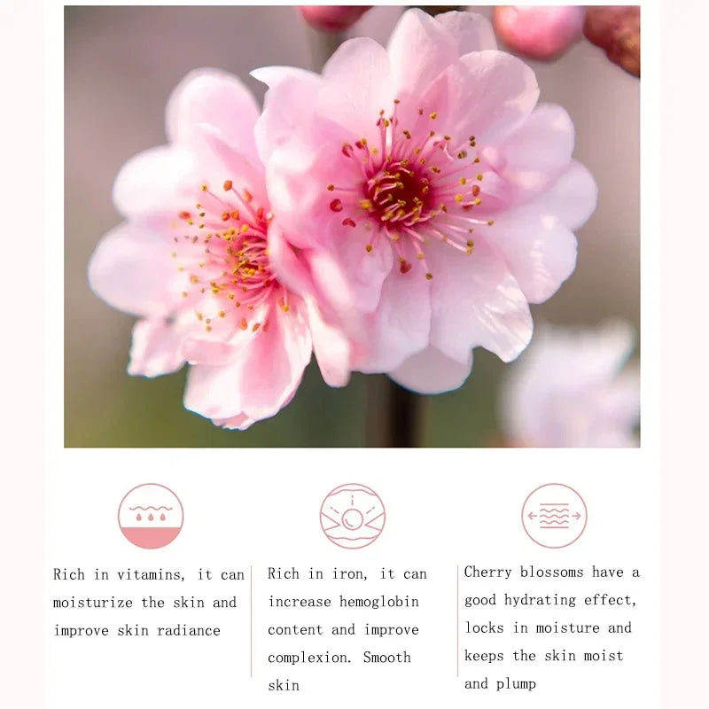 Moisturizing Hydrate Cherry Blossom Body Lotion Lock Water Anti Aging Brightening  Repairing Improve Skin Elasticity